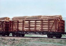 Russisches Holz, Tanssit durch die Mongolei